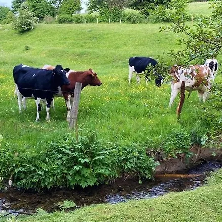 Diemelgarten *