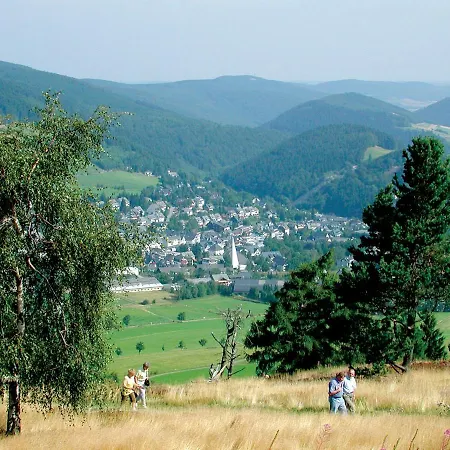 Diemelgarten Apartamento Willingen (Upland)